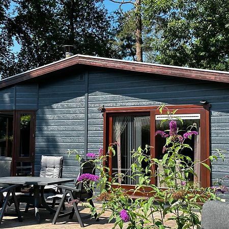 Dubbele Chalet Op Recreatiepark Topparken Op De Veluwe In Beekbergen Met Grote Vrije Tuin En Eigen Parkeerplaats Villa Dış mekan fotoğraf